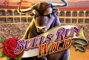 Bulls Run Wild