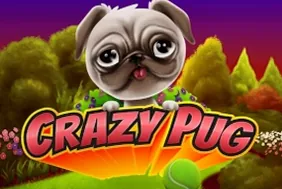 Crazy Pug